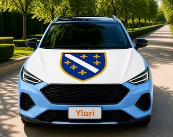 May include: A light blue car with a white hood featuring the coat of arms of Bosnia and Herzegovina. The car has a black grille and headlights. The license plate reads "Ylori".