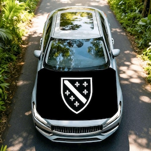 May include: A silver car with a black hood featuring a white shield emblem. The emblem has a diagonal stripe and fleur-de-lis symbols. The car is on a paved road surrounded by greenery.