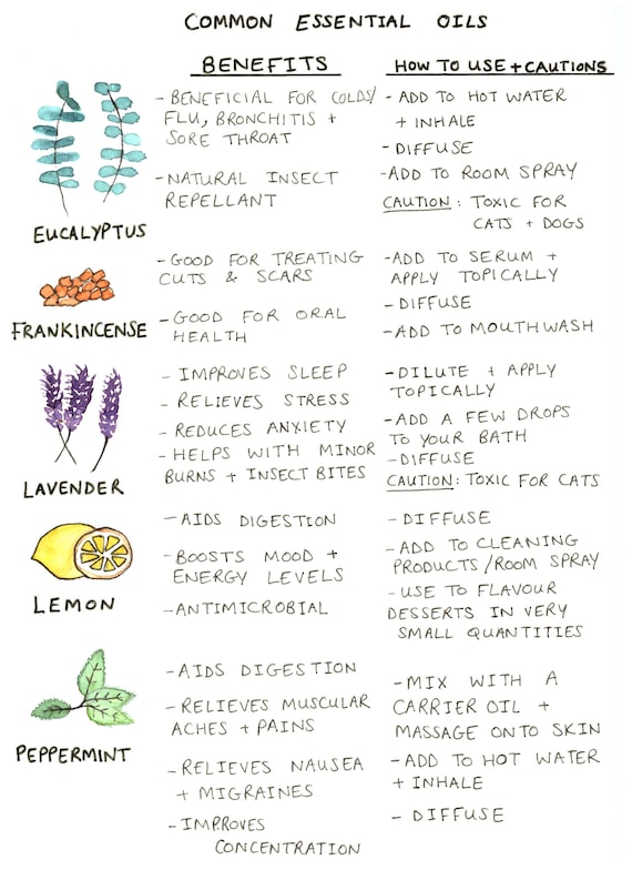 What are some of the most important essential oils to use in