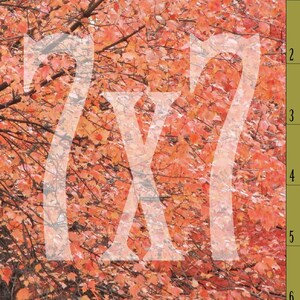 Puede incluir: Imagen de un árbol con hojas naranjas y rojas, probablemente en otoño. El texto "7 X 7" está superpuesto en blanco transparente. Las hojas densas crean un fondo texturizado.