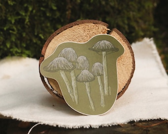 Vinylsticker bosgrond | Paddestoelsticker | Bos | Oregon | PNW