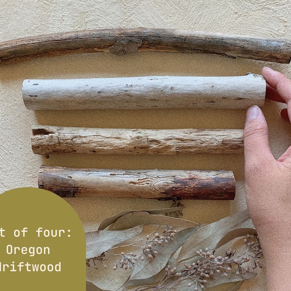 Set of Four: Oregon Driftwood for Weavings | Macrame Wall Hangings | Foraged Driftwood | Weave | Tapestry | Clean Branches for Weaving