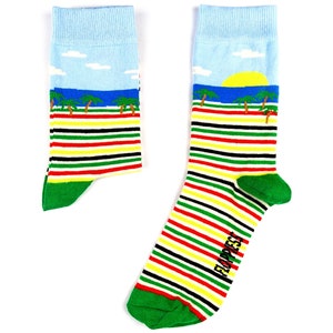 Könnte beinhalten: Ein Paar blau-grüne gestreifte Socken mit einer Strandszene auf der Oberseite. Die Socken haben eine gelbe Sonne, blaues Wasser, Palmen und weiße Wolken. Die Socken haben das Wort "FLOPPIES" auf der Seite.