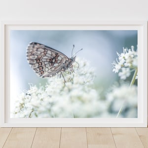 Butterfly Digital Printable, Blue and Green Pastel Tone Butterfly Wall Art, Dreamy Butterfly Print, Digital Download
