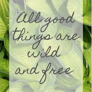 Wild and Free - Digital Photography Download - Digital Poster