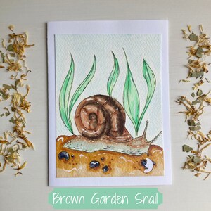 Cartes de correspondance à l'aquarelle et aux marqueurs copic peintes à la main (lot de 4, vierge à l'intérieur) | Escargots du jardin