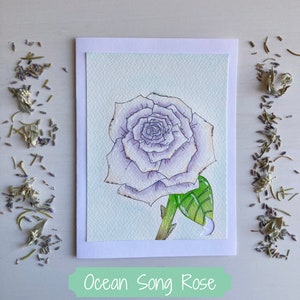 Cartes de correspondance à l'aquarelle et aux marqueurs copic peintes à la main (lot de 4, vierge à l'intérieur) | Rosiers