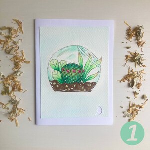 Cartes de correspondance à l'aquarelle et aux marqueurs copic peintes à la main (lot de 4, vierge à l'intérieur) | Terrariums de cactus en fleurs