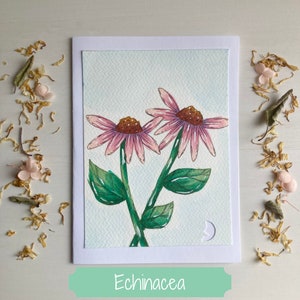 Cartes de correspondance à l'aquarelle et aux marqueurs copic peintes à la main (lot de 4, vierge à l'intérieur) | Fleurs médicinales