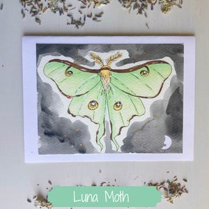 Cartes de correspondance à l'aquarelle et aux marqueurs copic peintes à la main (lot de 4, vierge à l'intérieur) | Les mites