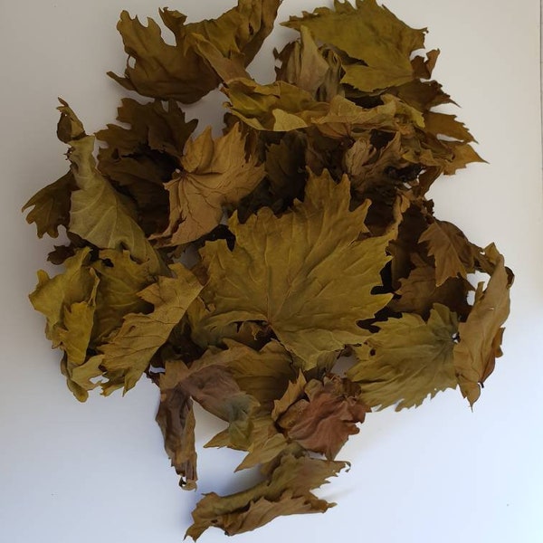 Grape Vine Leaves For Tea Hand Picked and Dried  in Azogires