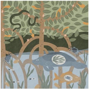 Arte dell'ecosistema delle mangrovie della Florida con lamantino, stampa di lamantino, arte naturalistica, illustrazione di fauna selvatica con tecnica mista, arte per vivai della Florida