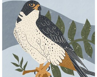 Peregrine Falcon Illustration: Audubon Inspired Bird of Prey Art Print