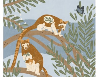 Daintree Rainforest Art Print: Tree Kangaroo & Ulysses Butterfly Illustration