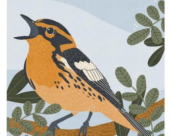 Blackburnian Warbler Illustration, Songbird Wall Art, Audubon-Inspired Bird Print for Nursery or Bird Lovers