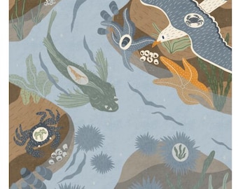 Pacific Northwest Tide Pool Nursery Print: Coastal Kids Room Wall Art