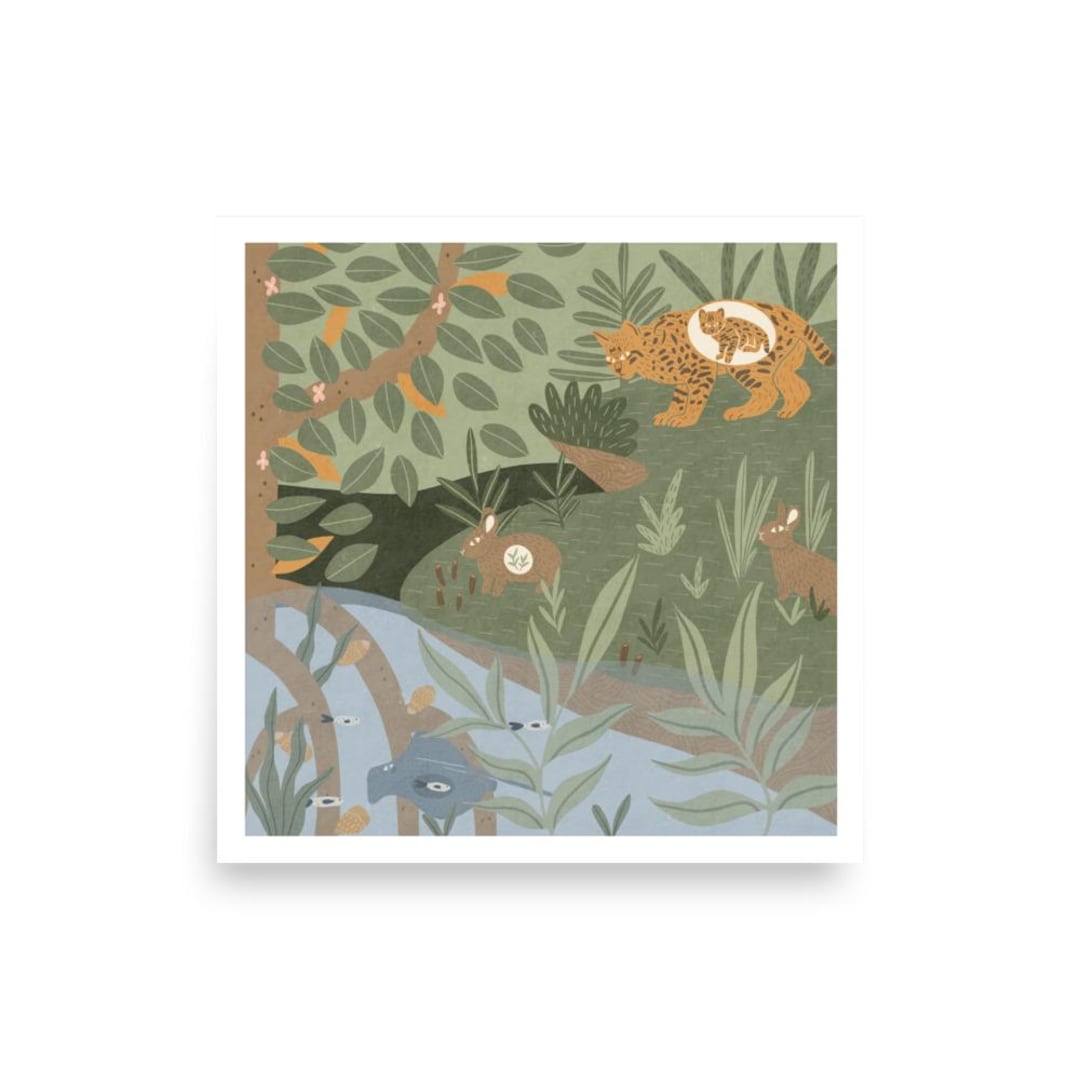 Bobcat & Rabbit Print: Florida Mangrove Ecosystem Art - Etsy