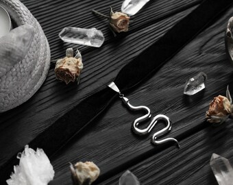 May include: A silver snake pendant necklace on a black velvet ribbon. The necklace is surrounded by crystals, dried flowers, and a small concrete sculpture.