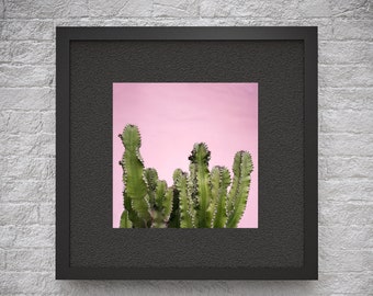 Succulent Photo/Cactus Wall Art/Southwest/Minimalist/Nature Landscape/Pastel Boho/Pink Cactus Art/Extra Large Print/Instant Digital Download