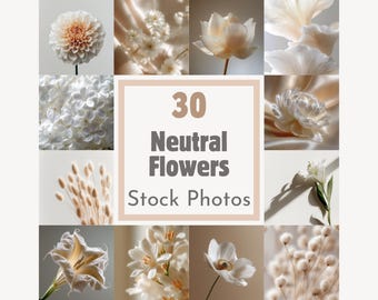 30 fotos de flores neutras, fondos florales estéticos, fotografía floral minimalista y tranquila, paquete de imágenes de marca, 2000 x 2000 px