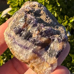 May include: A natural fluorite specimen with layers of purple, black, and tan hues. The mineral has a rough, textured surface and is held in a hand against a blurred green backdrop. The fluorite displays a crystalline structure.