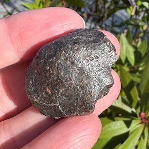 Meteorite Chondrite rock from Morocco - Meteorite space stone