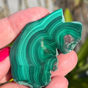 Malachite polished slab- Rare Malachite healing slice- Chakra- Crystals- Gifts