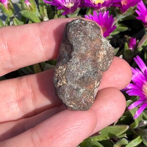 Meteorite Condrite dal Marocco - Regali - Chakra