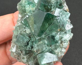 May include: A cluster of translucent, emerald-green fluorite crystals. The crystals are cubic in shape and arranged in a radial pattern, with a rough, gray matrix. The mineral specimen is held in a hand against a dark background.