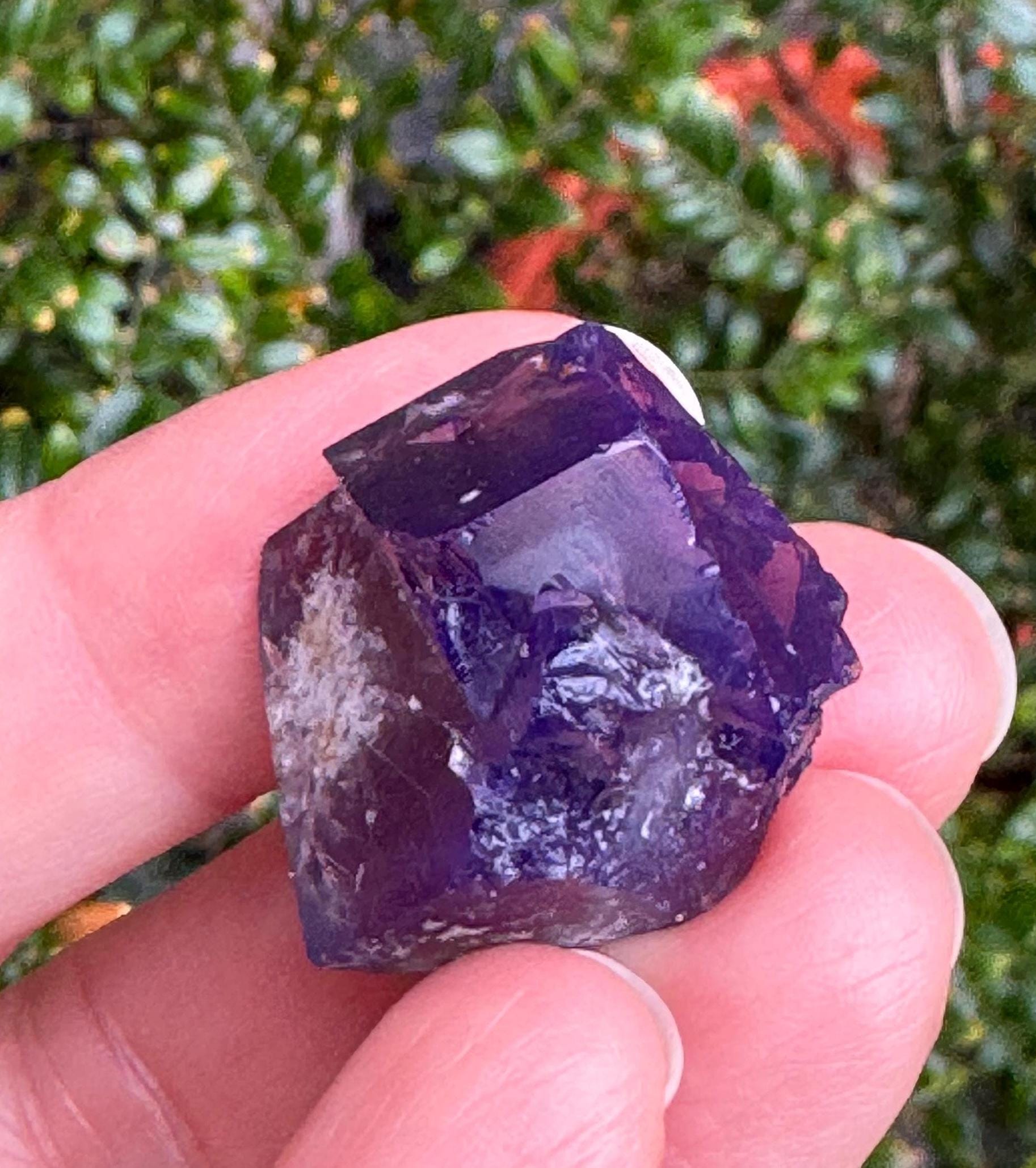 Lady Annabella Mine - Etsy