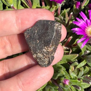 Meteorite Condrite dal Marocco - Regali - Chakra