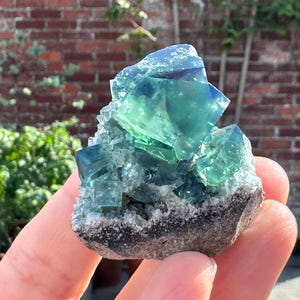 New find - English  fluorite Pocket 42 on matrix, Diana Maria Mine, Frosterley, Weardale England- British fluorite - Rare crystal