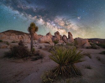 May include: A night sky with the Milky Way galaxy visible over a desert landscape with large rock formations and a few small trees.