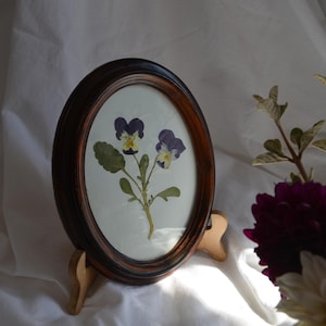 Medium Pressed Flower Art with Pressed Violas in Vintage Oval Frame – Unique Botanical Wall Decor on Vintage Writing Paper