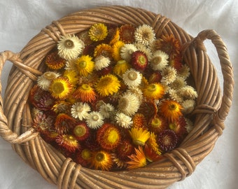 Mixed paper daisy heads / naturally dried helichrysum flowers / dried flowers for crafts / dried flowers for resin / party decorations