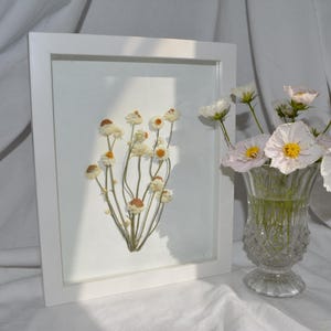 Dried Flower Posy Wall Art Flower Preservation Frame – Unique Botanical Wall Decor Handmade Wall Art