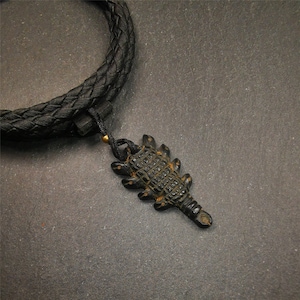 May include: A black leather cord necklace with a black scorpion pendant. The pendant is detailed with a textured surface.