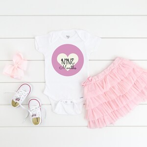 Monthly Milestone Onesies, One month Bodysuit, First Birthday, 12 months