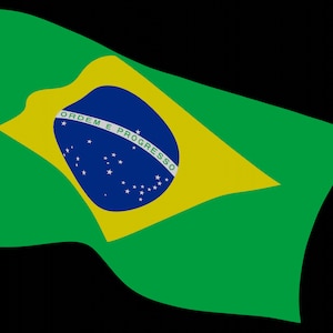 Brazilian Flag, Brazil, SVG Vector Graphic Stencil