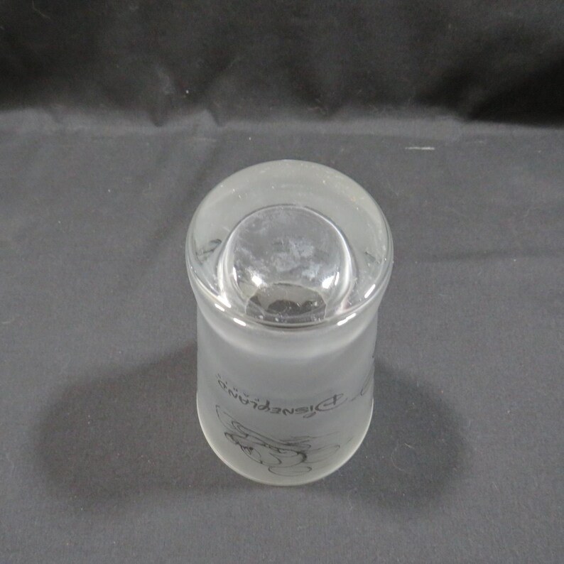 Op de afbeelding: Een heldere glazen tumbler met een mat onderste deel. De tumbler heeft een afgeronde bovenkant en een cilindrisch lichaam. De woorden "DISNEYLAND" zijn in een gebogen lijn gedrukt, samen met een zwarte afbeelding van Mickey Mouse.