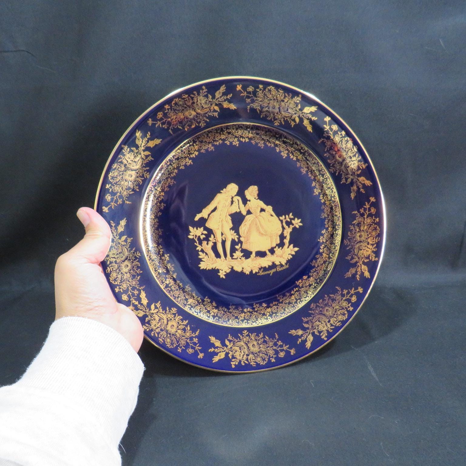 Vintage Limoges Castel France Porcelain Plate - Etsy