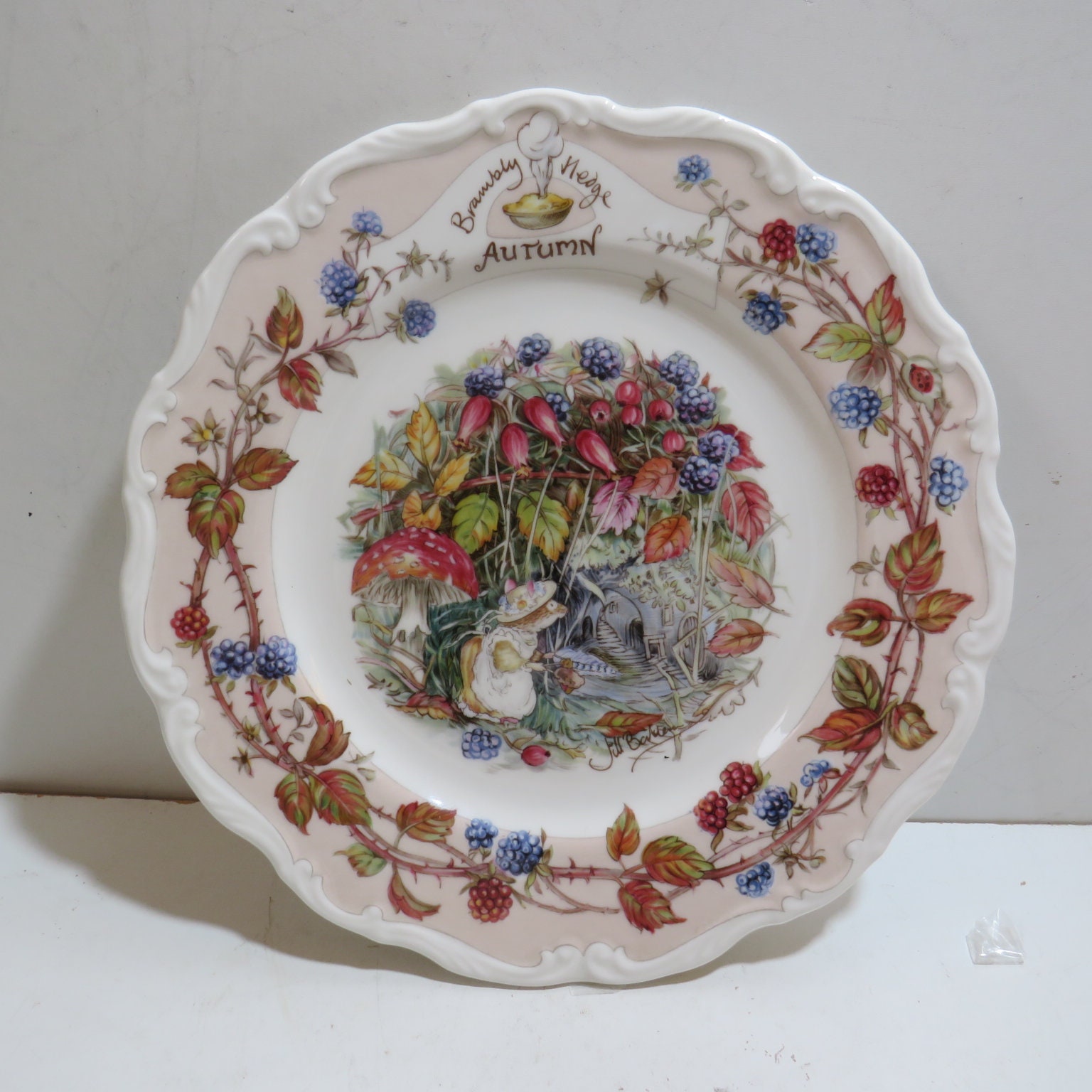 ロイヤルドルトン　ジル·バークレム1982　四季4枚セット【廃盤品】 Royal DoultonJill Barklem 1982四季4枚セット