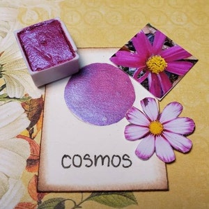 Cosmos Metallic, pittura ad acquerello scintillante fatta a mano per pittura, tecnica mista, scrapbooking su carta e stampaggio.