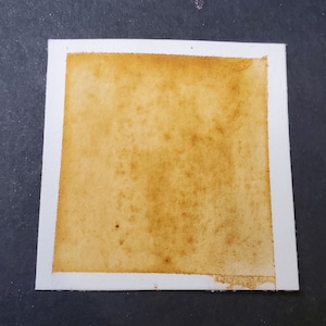 Butternut, pittura ad acquerello opaca realizzata a mano per pittura, tecniche miste, scrapbooking su carta e timbratura.