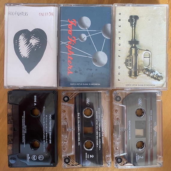 Foo Fighters / There is Nothing Left to Lose in Your Honor Skin
