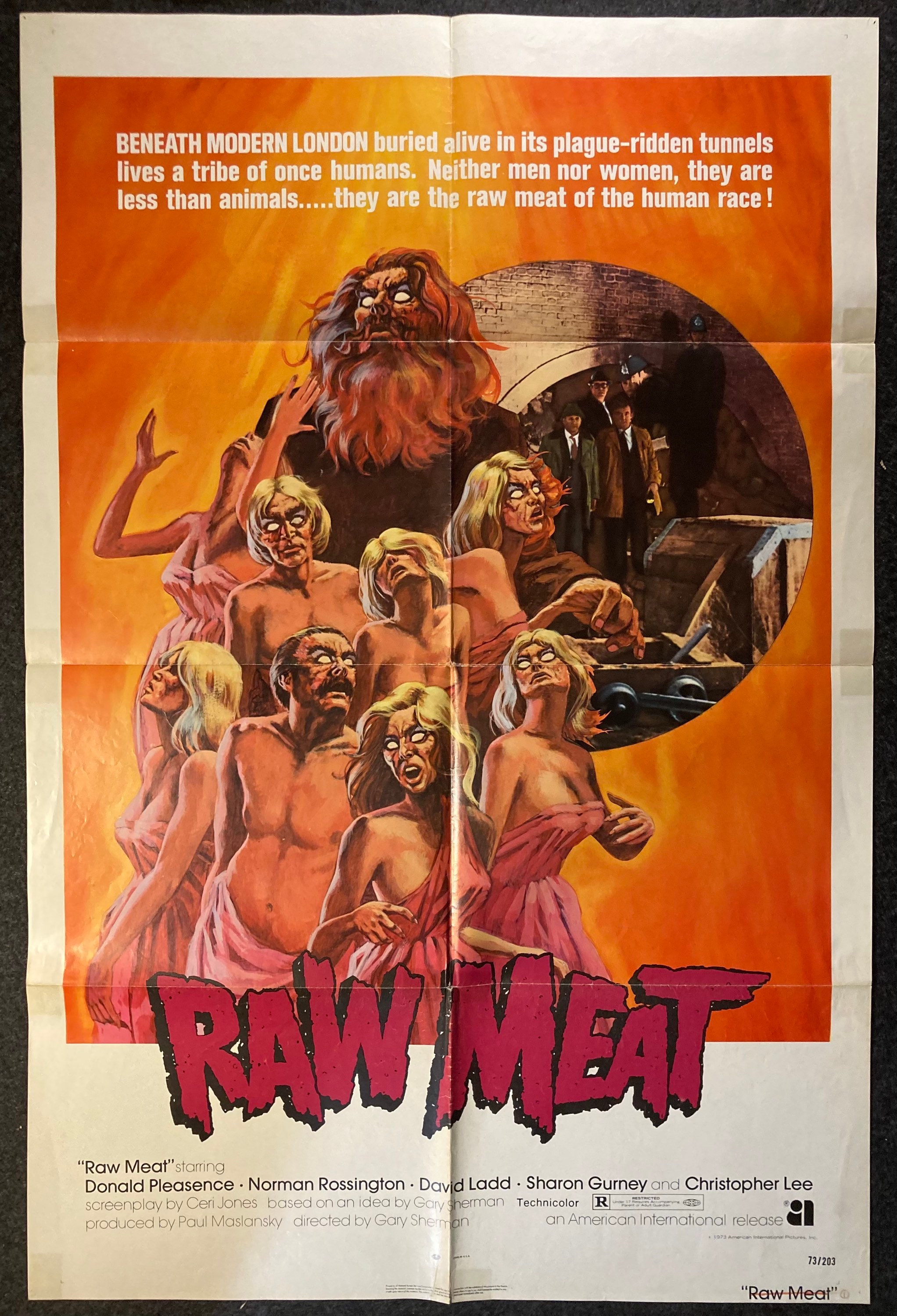 1973 Cannibal Horror Raw Meat Original Rare 1973 Folded Etsy