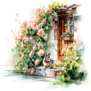 Könnte beinhalten: Aquarellmalerei eines braun-weißen Kaninchens, das auf einer Steinstufe sitzt. Eine Holztür und ein Fenster sind zu sehen, umgeben von Kletterrosen mit rosa Blüten und grünem Laub. Gelbe Blumen befinden sich auf der rechten Seite.