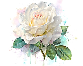 20 White Rose Clipart, Elegant Floral Blooms, Classic Wedding Flowers, Printable Watercolor, Papercraft, Junk Journal, High-Quality JPGs