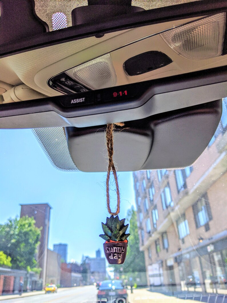 Car Rear View Mirror Hangings Car Mirror Pendant Cactus Car Etsy Canada