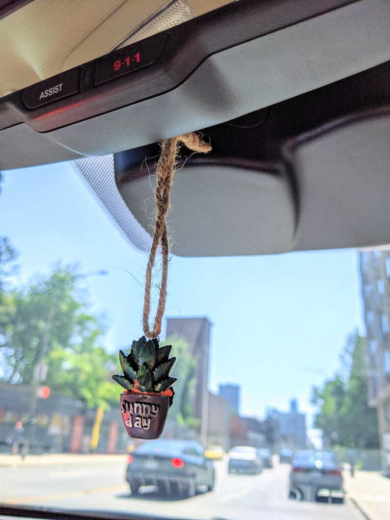 Car Rear View Mirror Hangings Car Mirror Pendant Cactus Car Etsy Canada